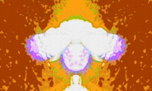 Meditation