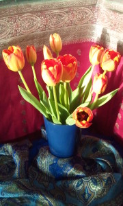 Tulpen