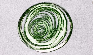 Wirbel 002