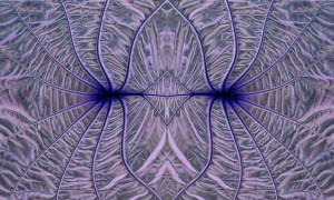 katastrophenmodus